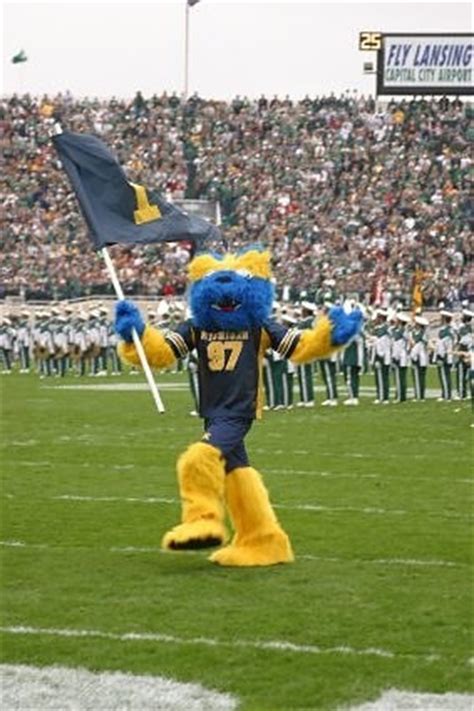 The Impact of Wolverine Mascot Suits in Branding and Marketing